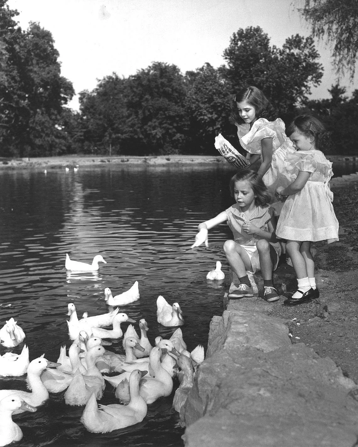 feeding the ducks.jpg