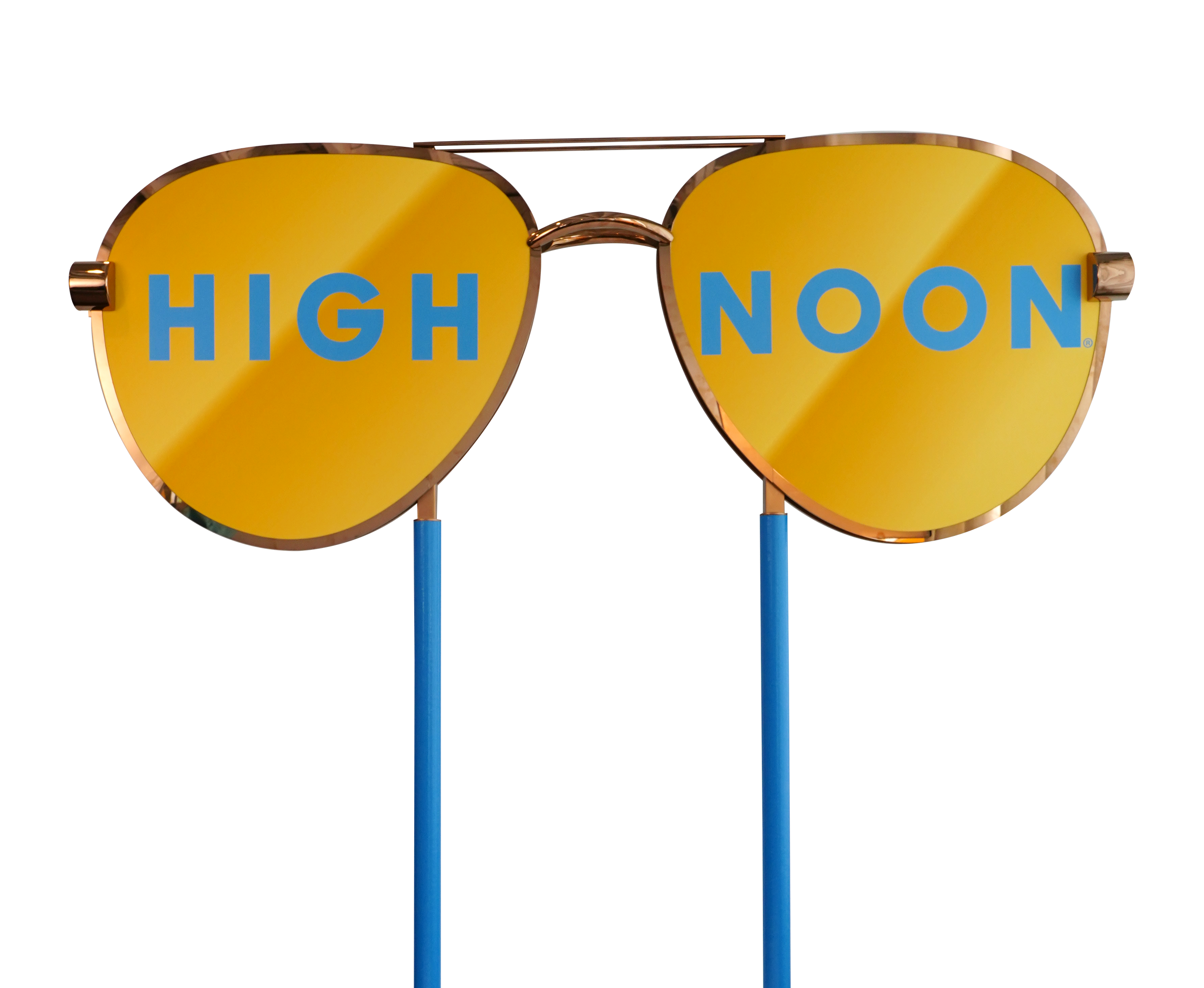 HN_Sunglasses_2023.png