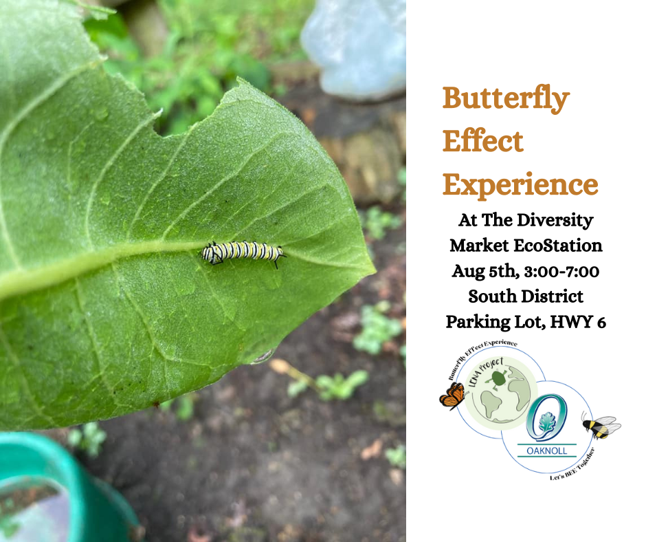 LENA Magical Monarchs table at The Diversity Market's Ecostation  by The LENA Project