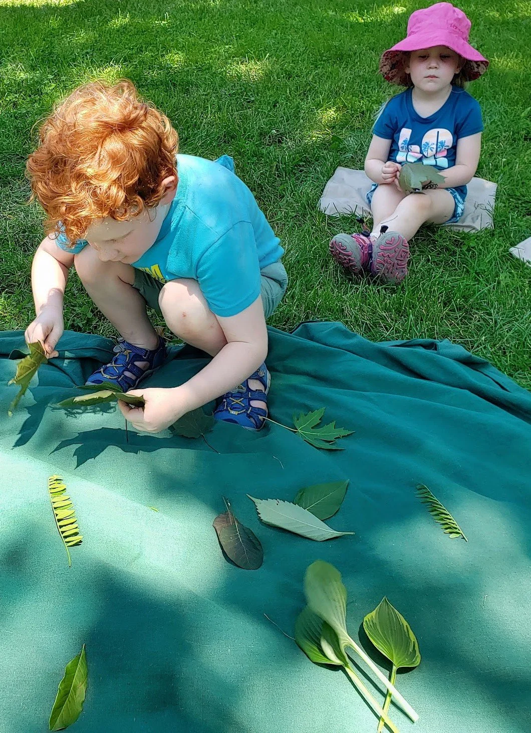 Biodiversity_ comparing leaves.jpg