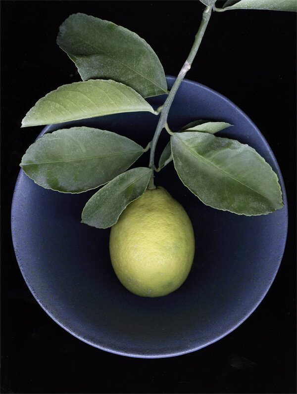  Lemon Bowl, 2008 