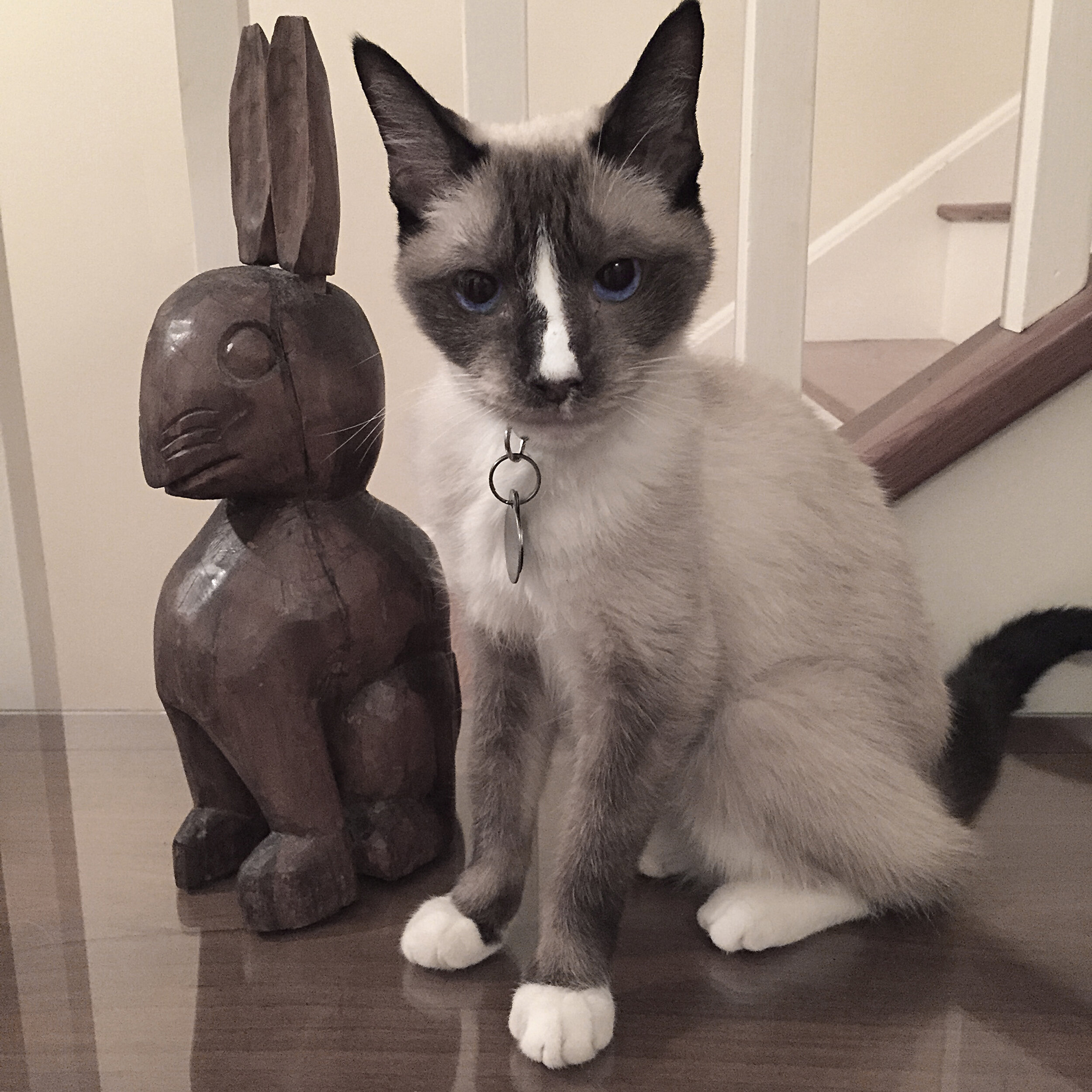  Bella with Rabbit, 2015 