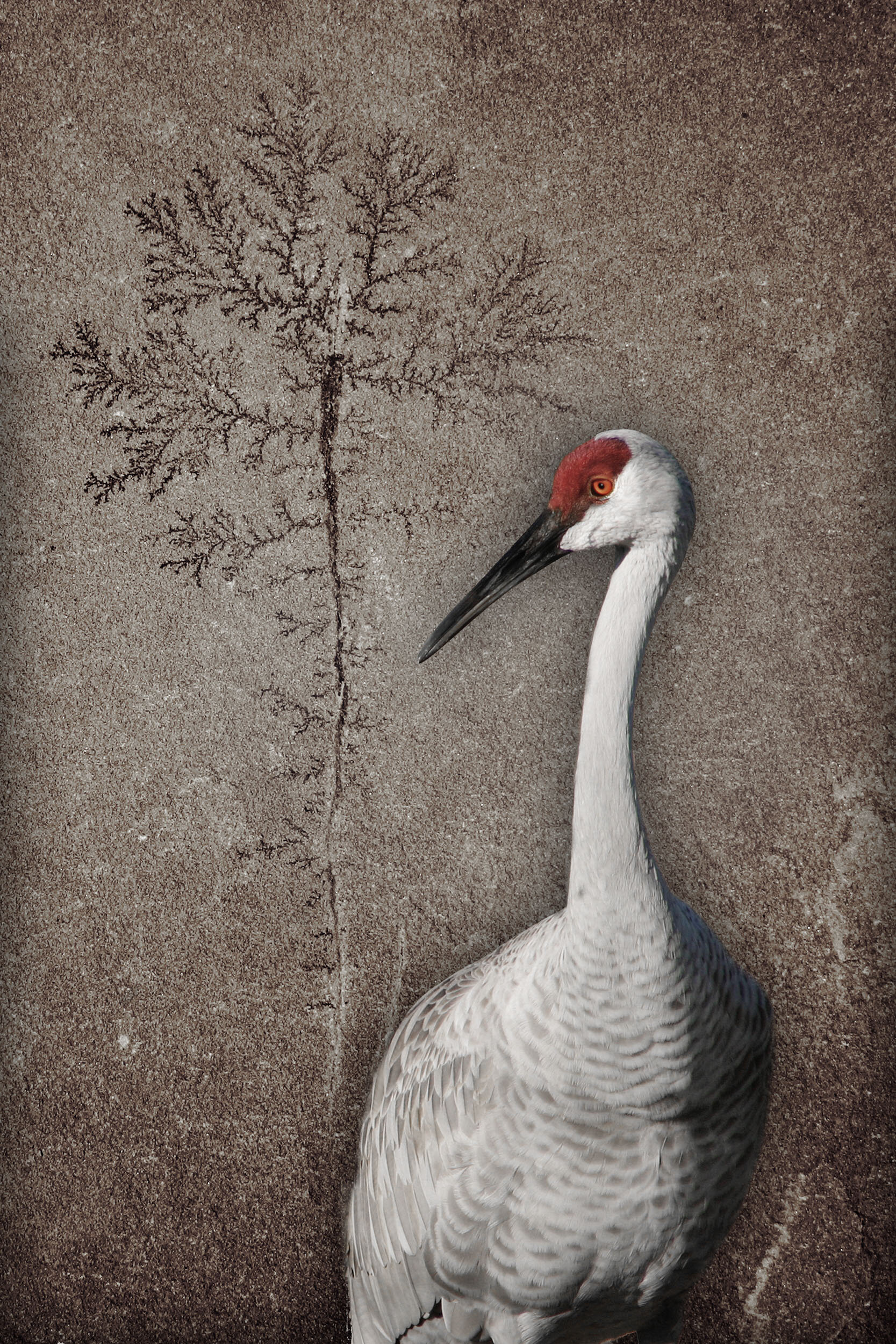  Crane with Fossil Tree, 2005 