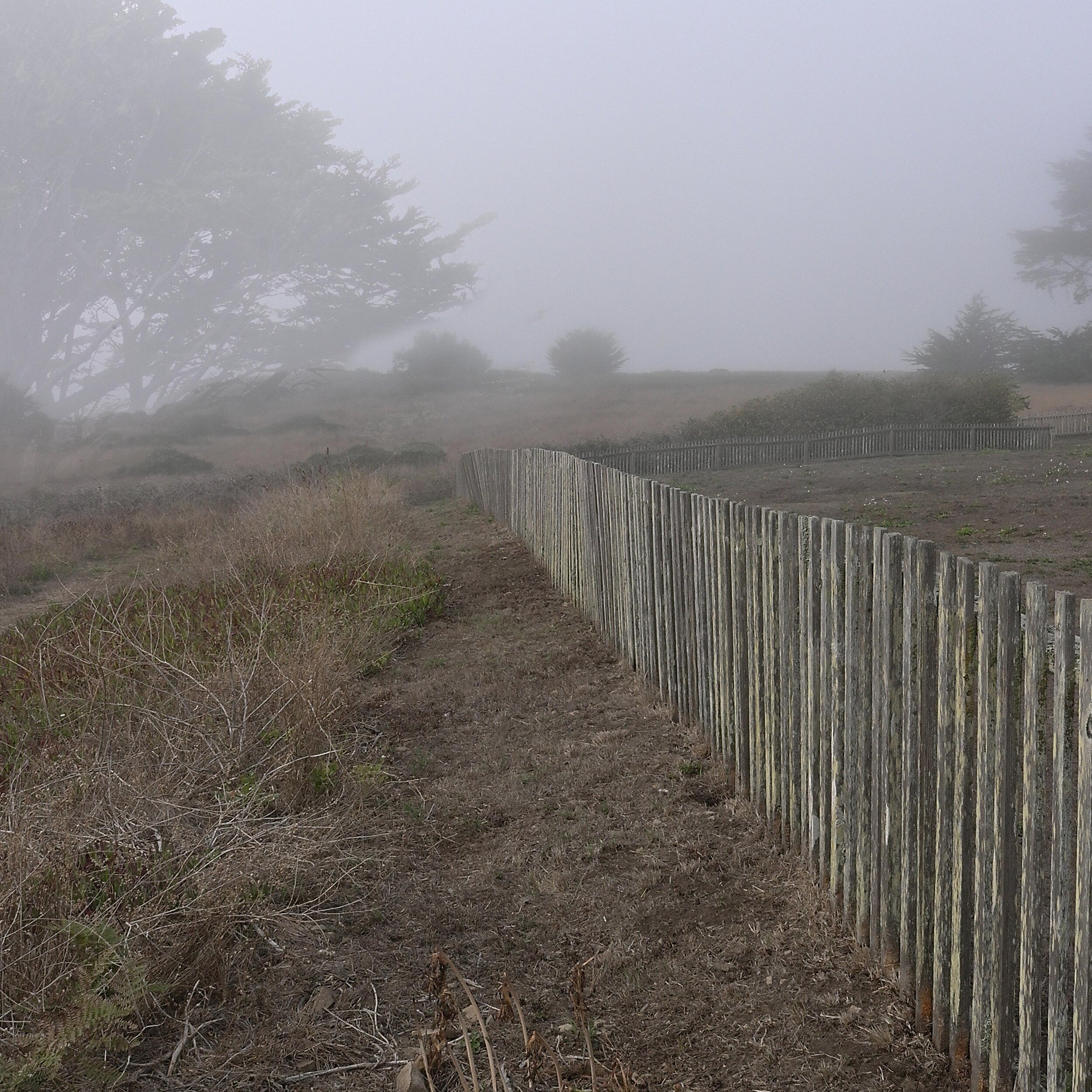  Fog Fence, 2015 