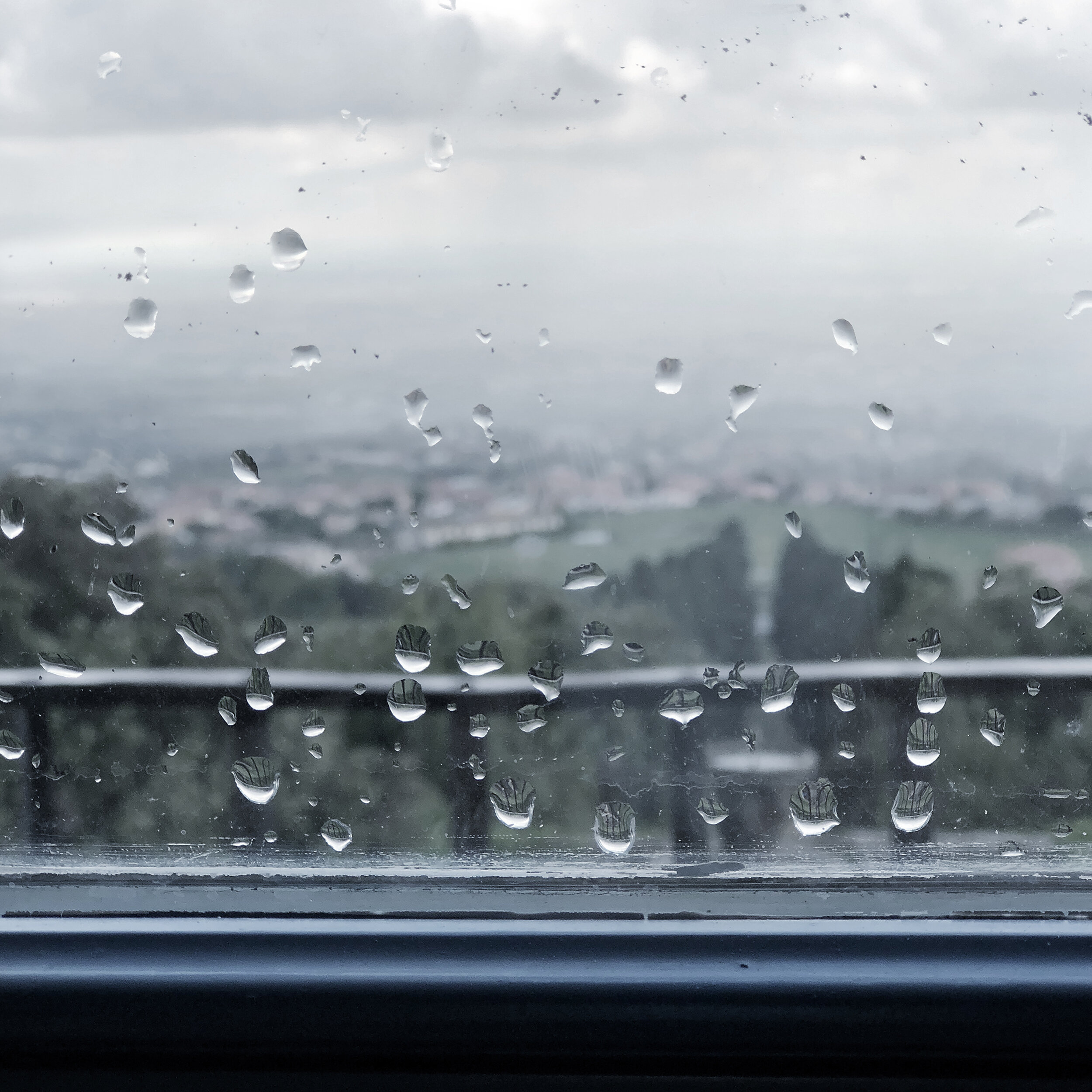  Rain Windows, 2018 
