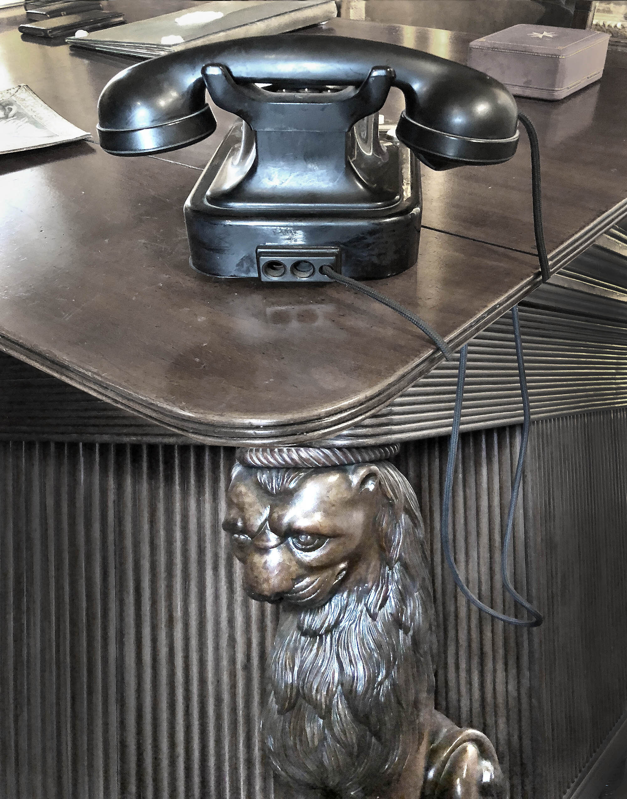  Lion Phone, 2018 