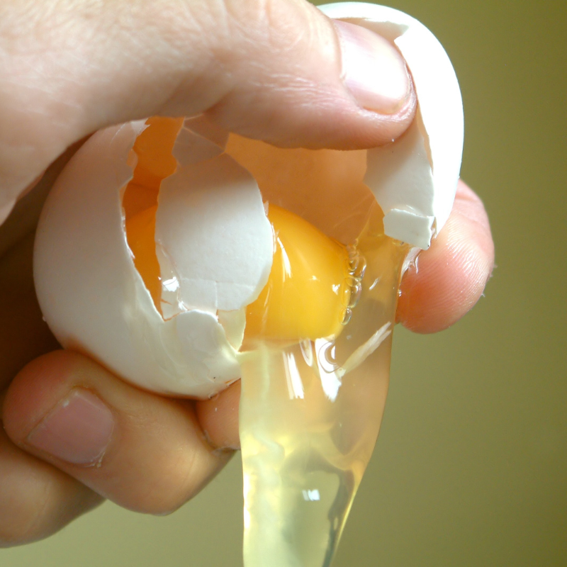 ARE EGGS ALL THEY’RE CRACKED UP TO BE?