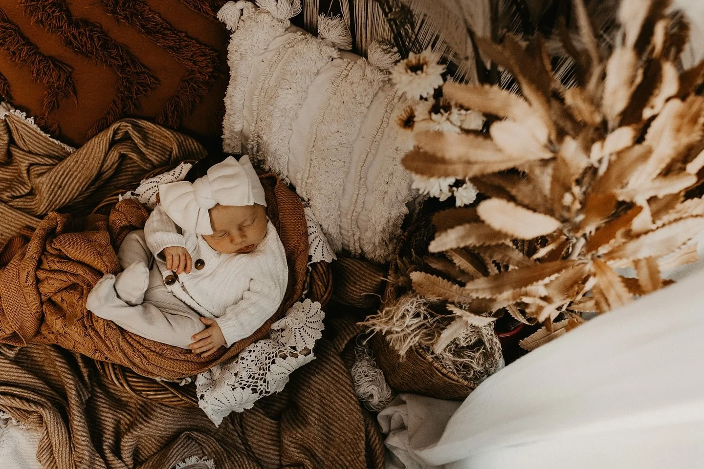 Just updating some socials while I&rsquo;m on the road - in the passenger seat of course! 
Featuring the gorgeous Hallie &hearts;️

#bacchusmarshphotographer #timelesspaigephotography #melbournephotographer #meltonphotographer #meltonnewbornphotograp