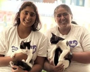 Why Fostering Makes a Difference: Lessons from a High School Foster Parent