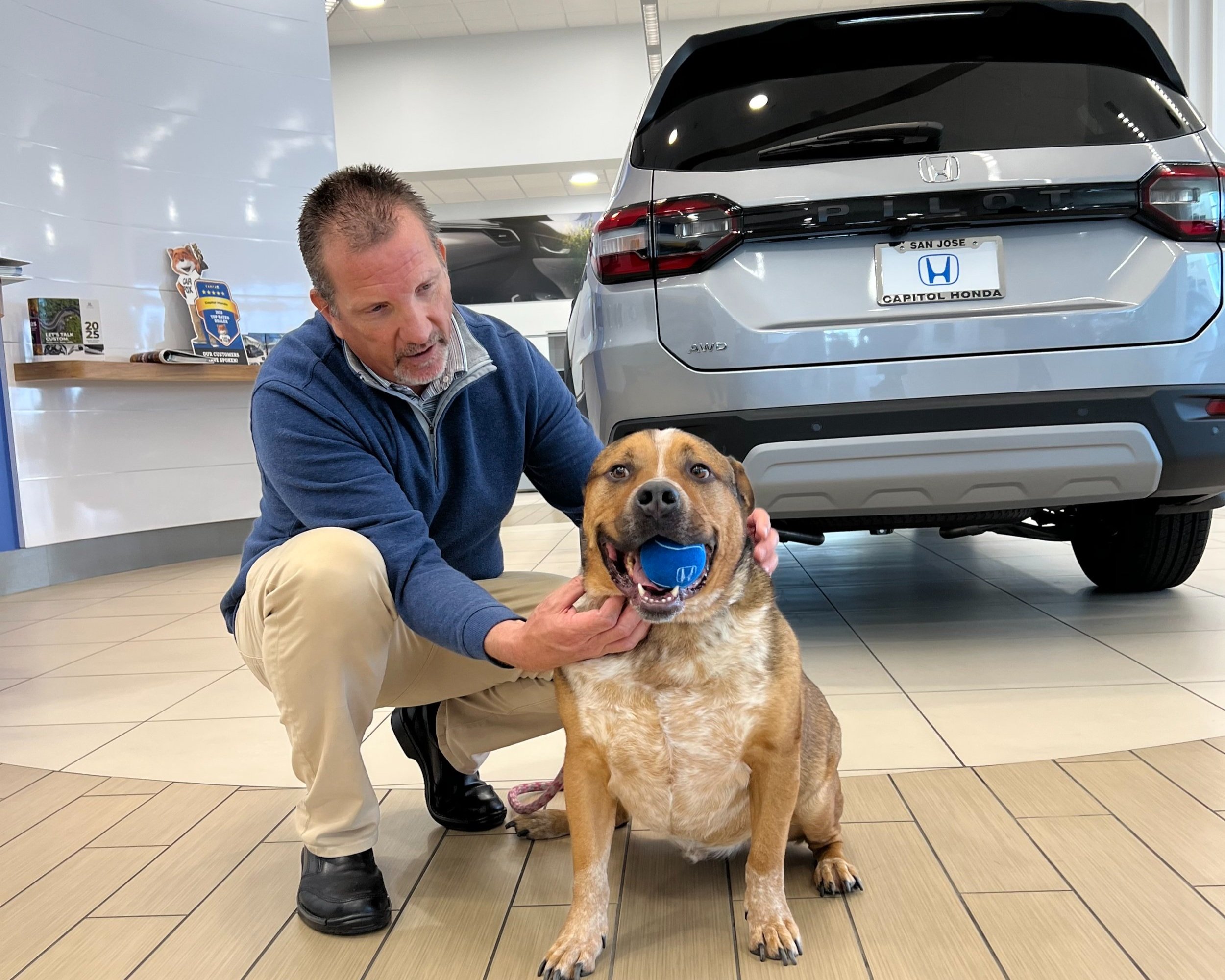Celebrating Three Years of Partnership: Capitol Honda’s Ongoing Support for Rescue Pets