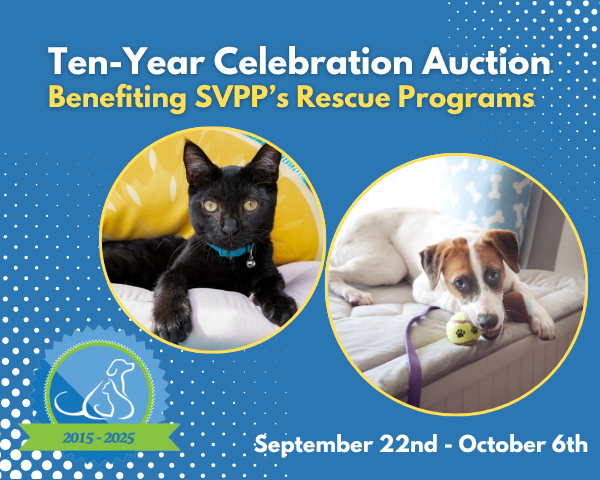 Ten Year Anniversary Online Auction