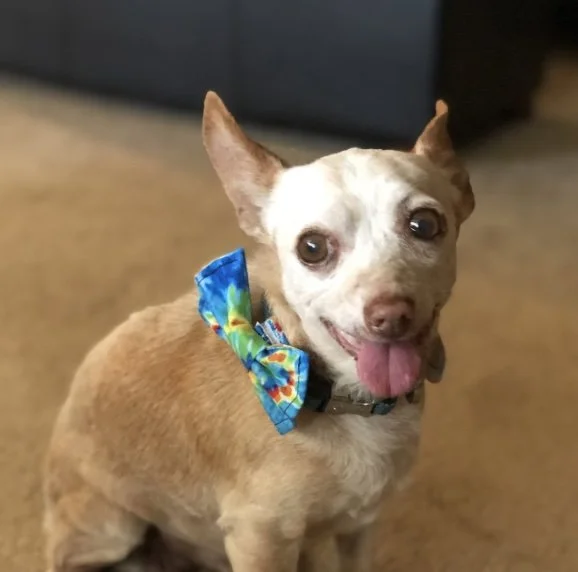 Milo, 6/2021 - 3/2022