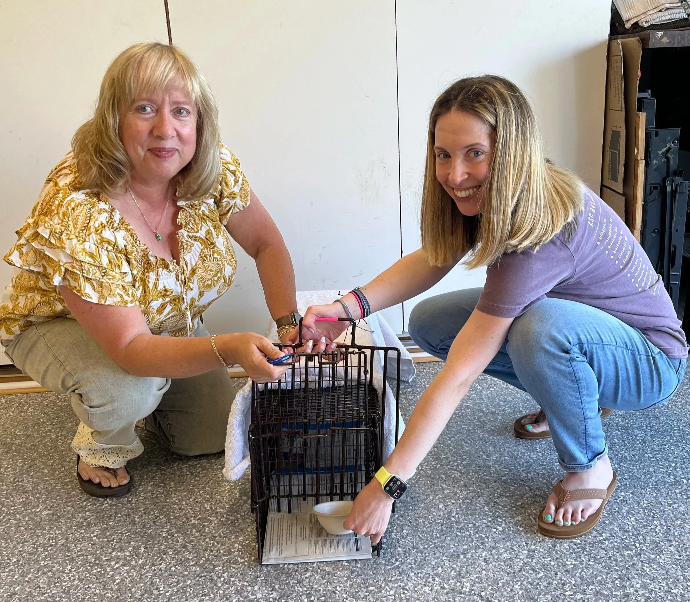 If You Feed Them, Help Fix Them: How Community Cat Care Works