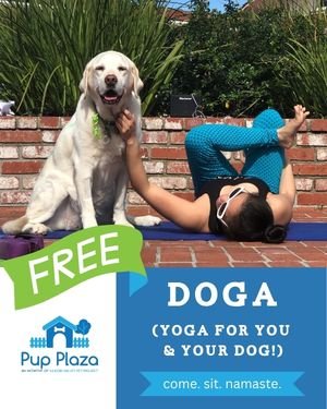 Doga Patio.jpg