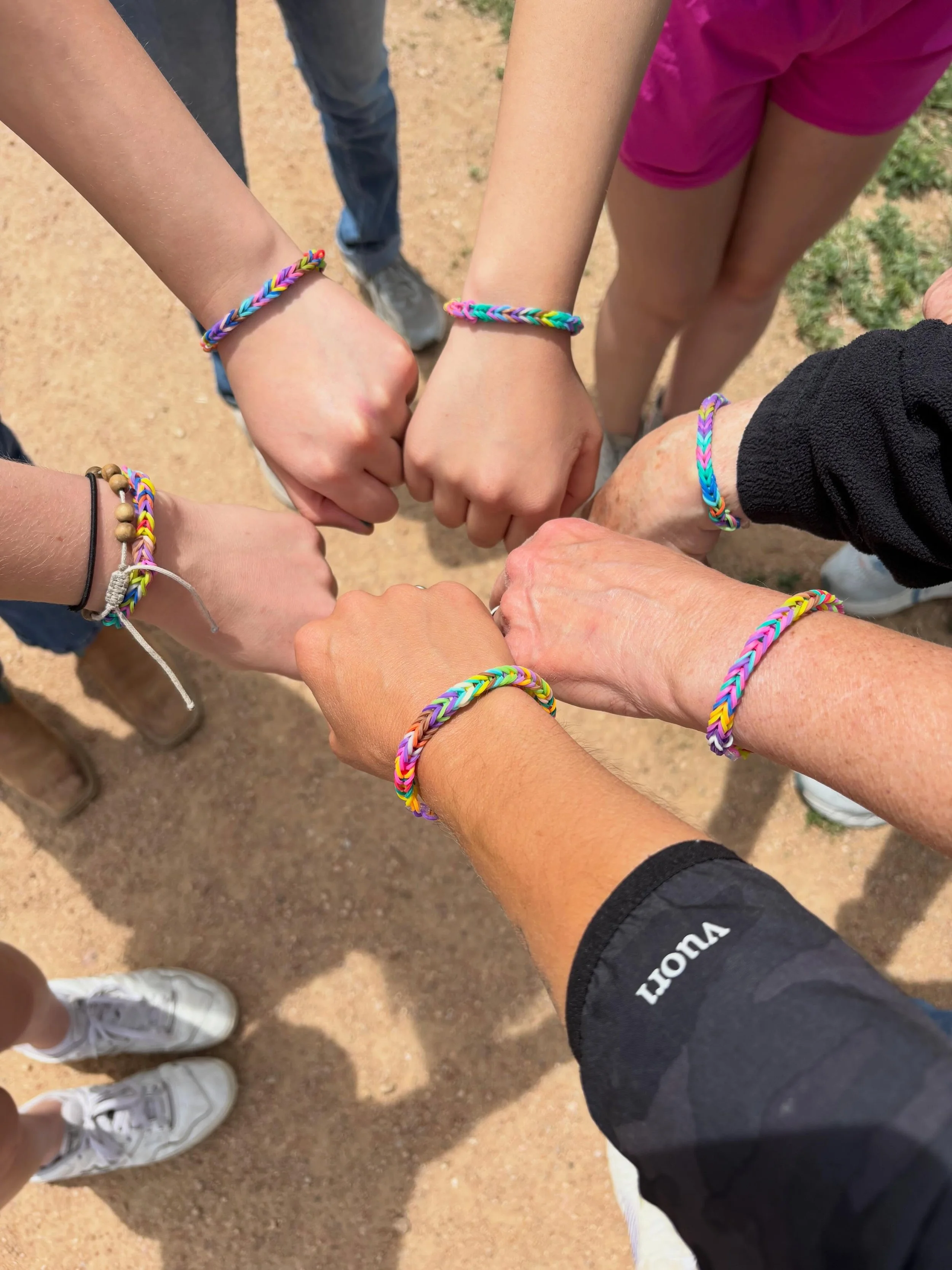 This photo captures so much of what The Mane Mission is.  We are only as strong as our team of staff and volunteers and these hands represent our team today. 

We treasure the opportunity to serve those with intellectual and developmental disabilitie