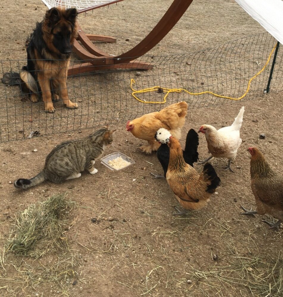 Brittney and the girls