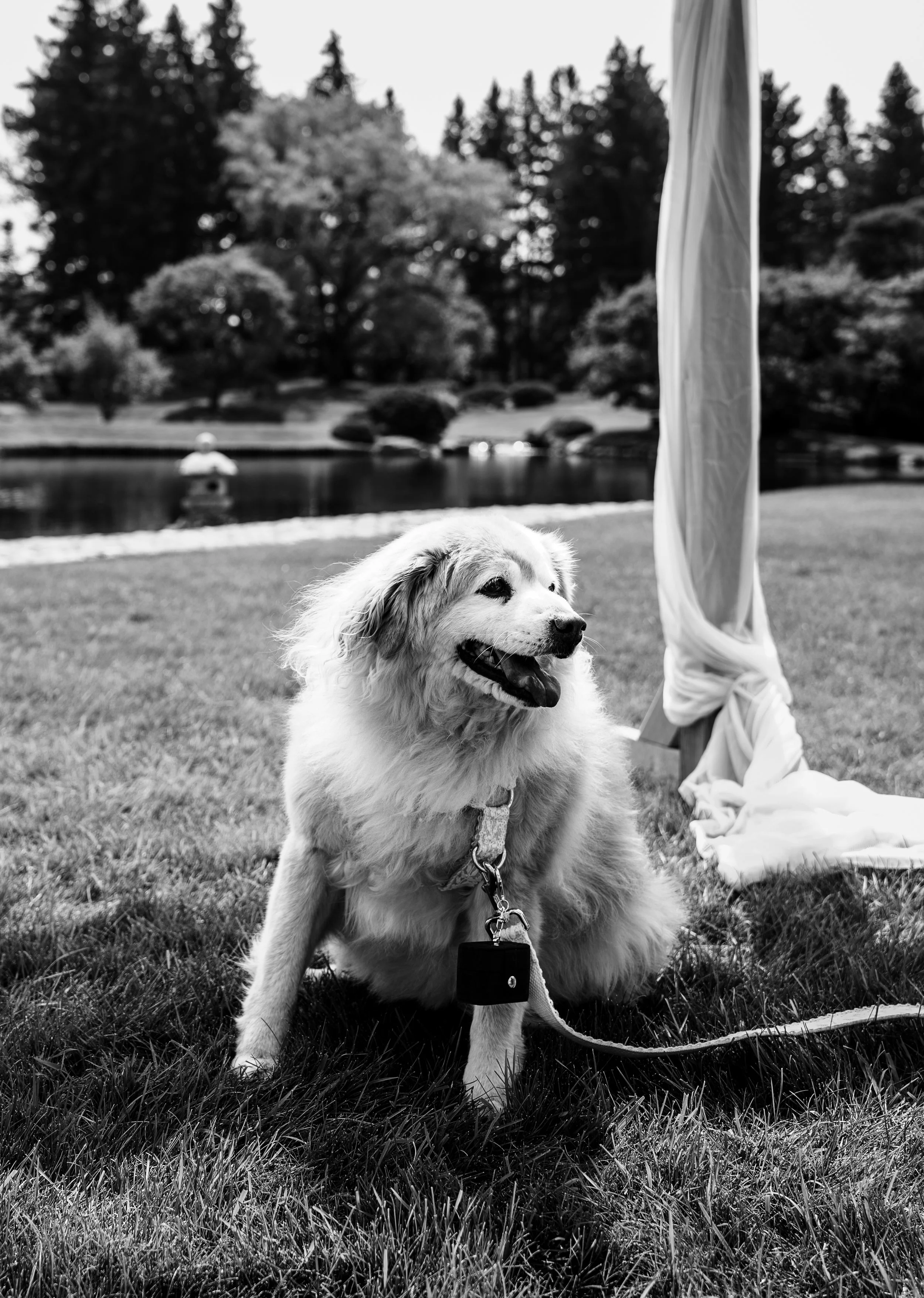 sneek peak photo (33).jpg