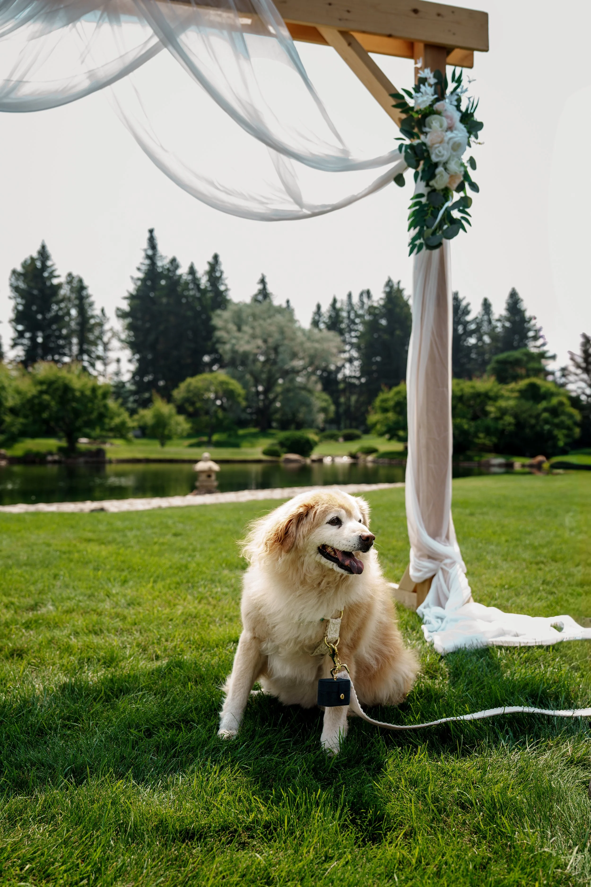 sneek peak photo (34).jpg