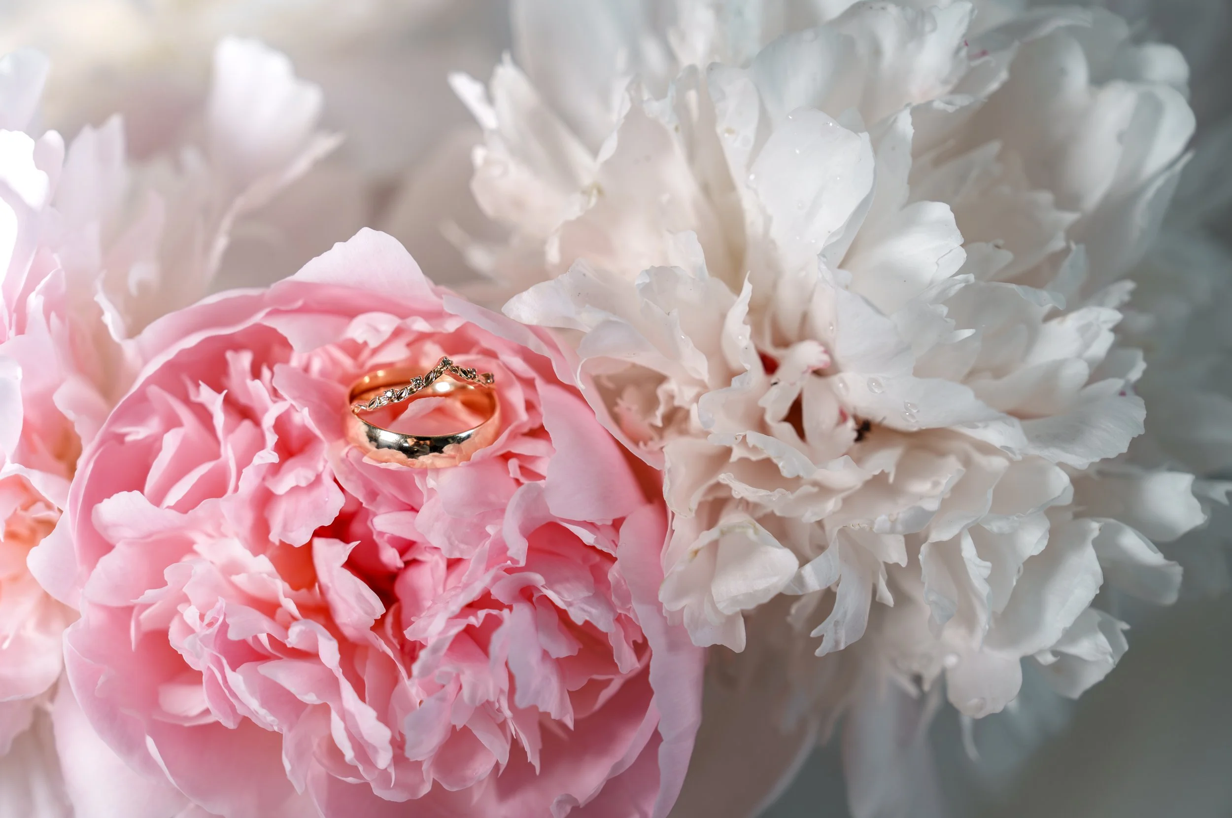Getting ready photo (43).jpg