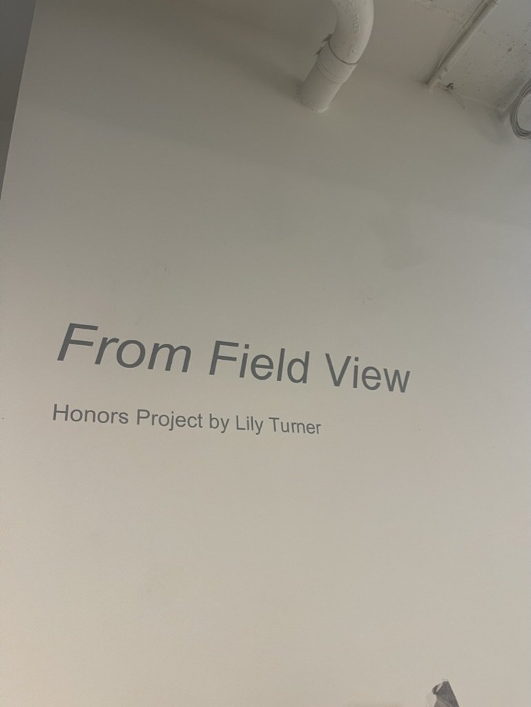 01AFDCF5-F35B-45A1-84ED-A9F777EE533A_1_105_c.jpeg