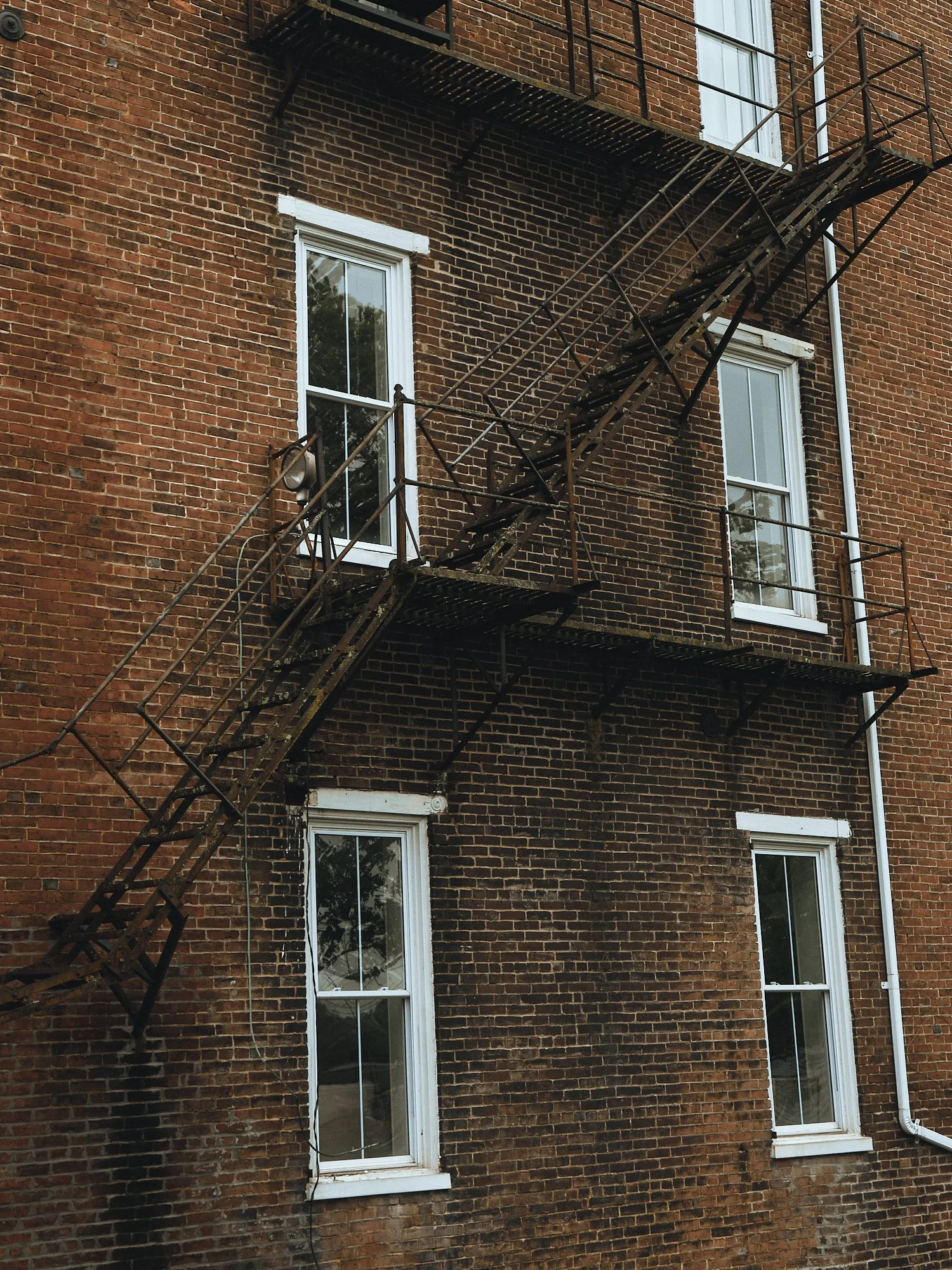 DSCF4548 1.jpg