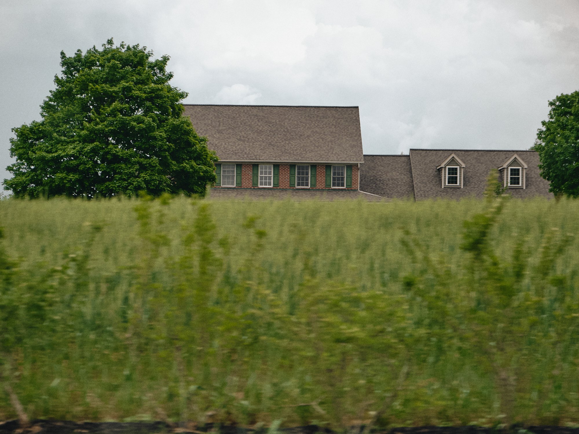 DSCF4314.jpg