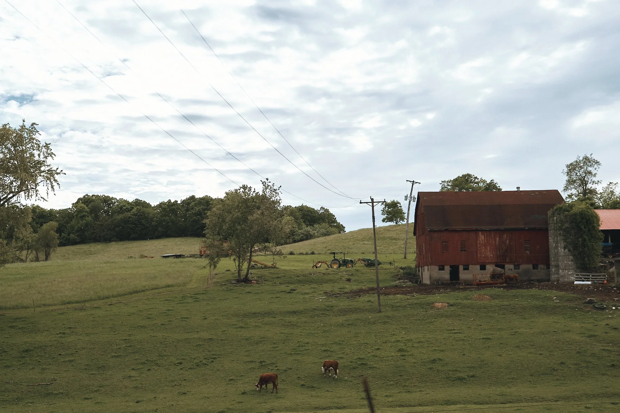 DSCF4821 1.jpg
