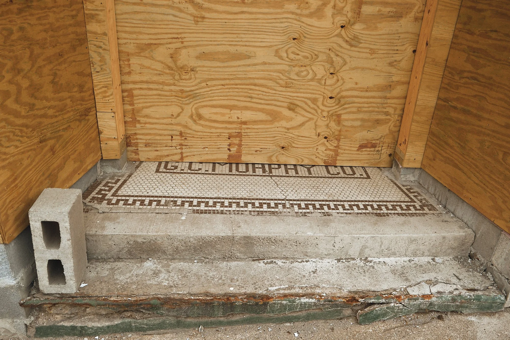 DSCF4783 1.jpg