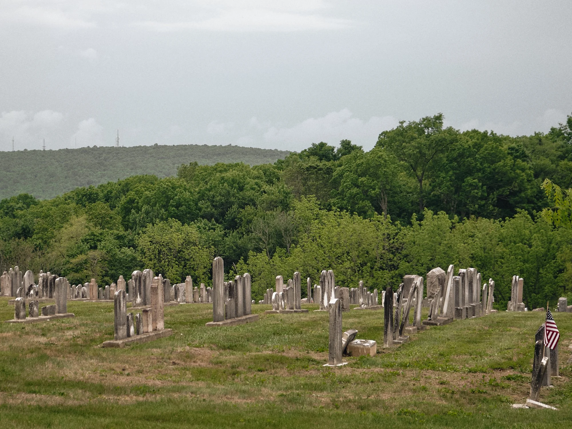DSCF4322.jpg