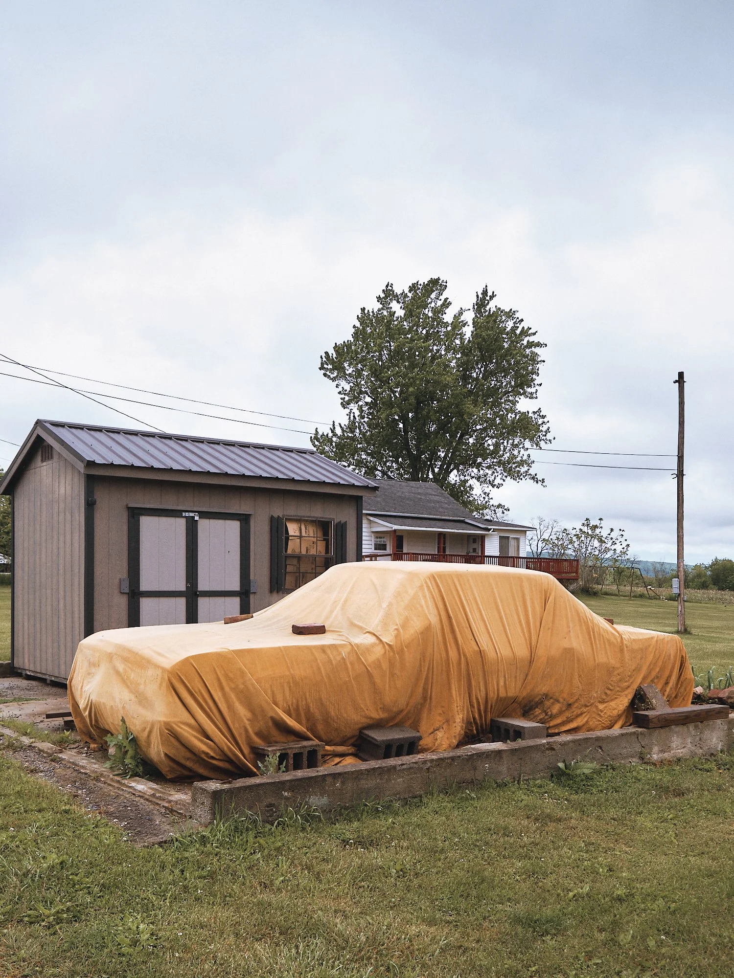 DSCF4625 1.jpg