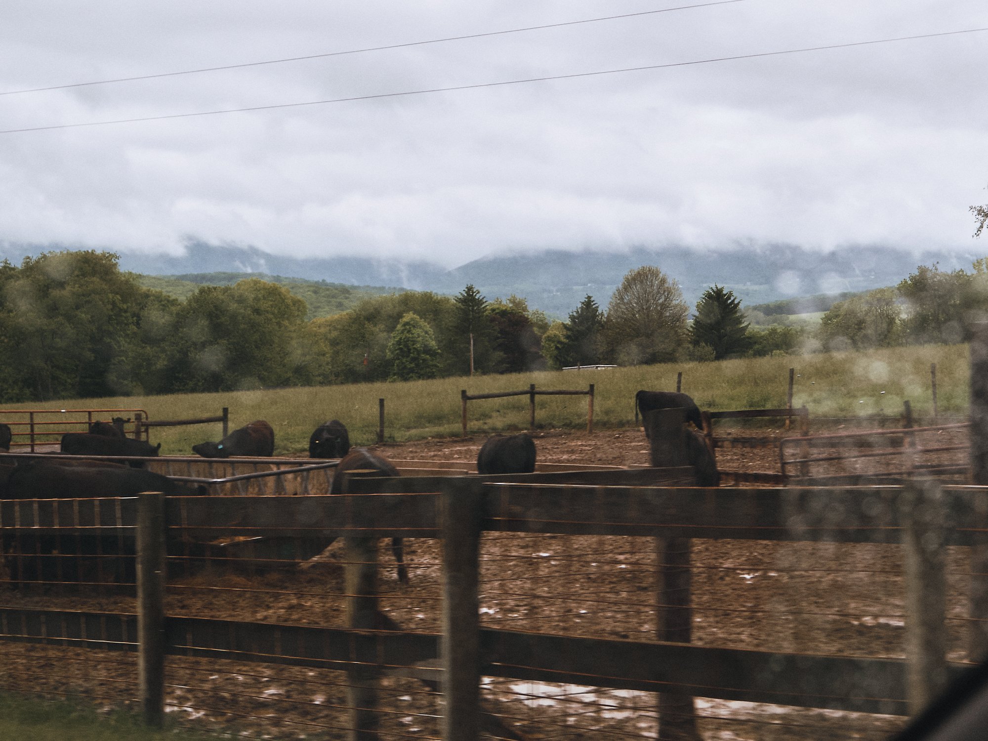 DSCF4579 1.jpg