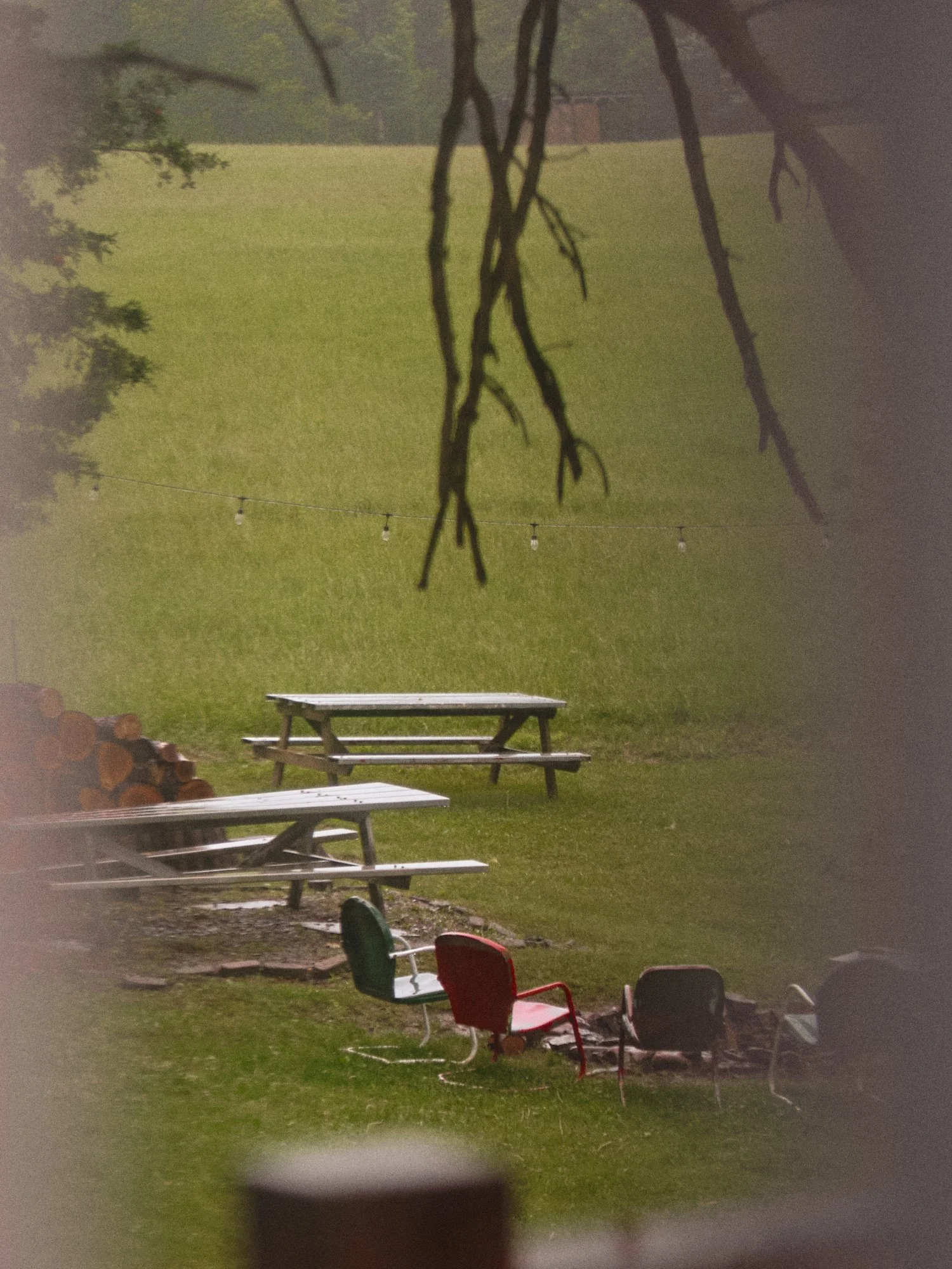 DSCF4430.jpg