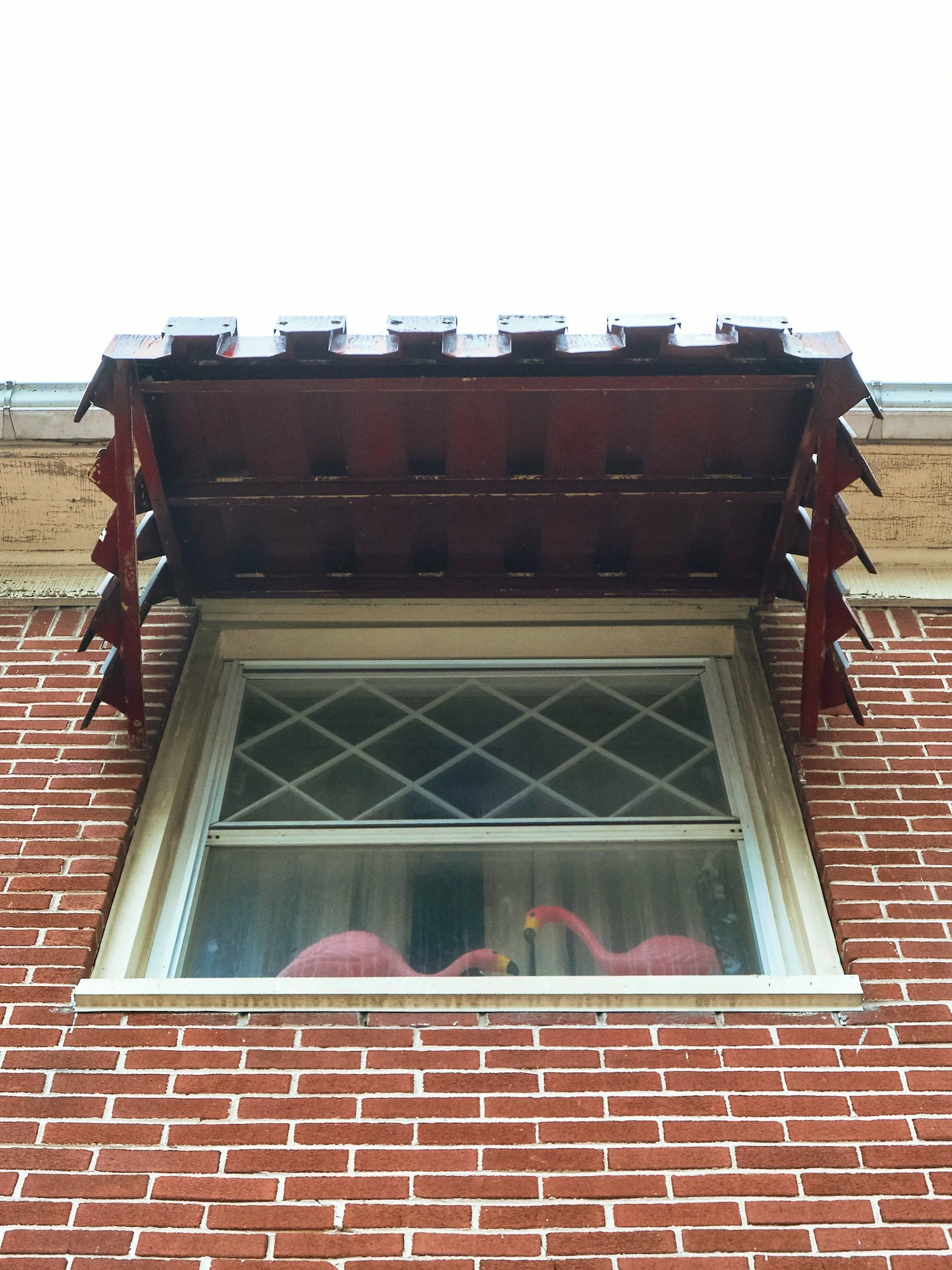 DSCF4543 1.jpg