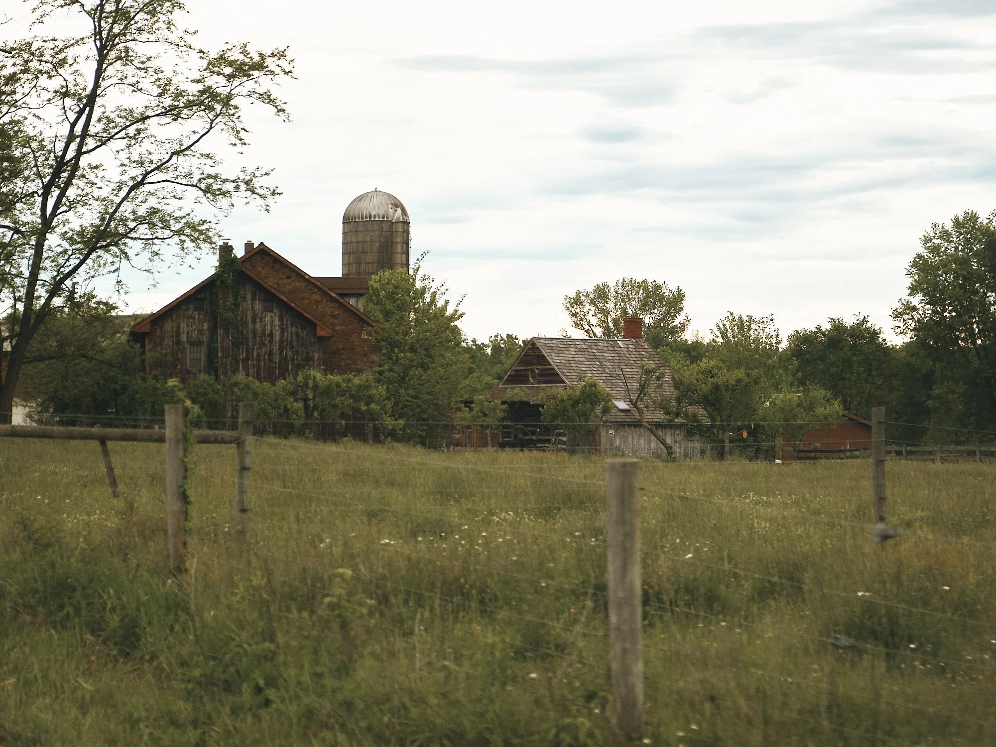 DSCF4363 1.jpg