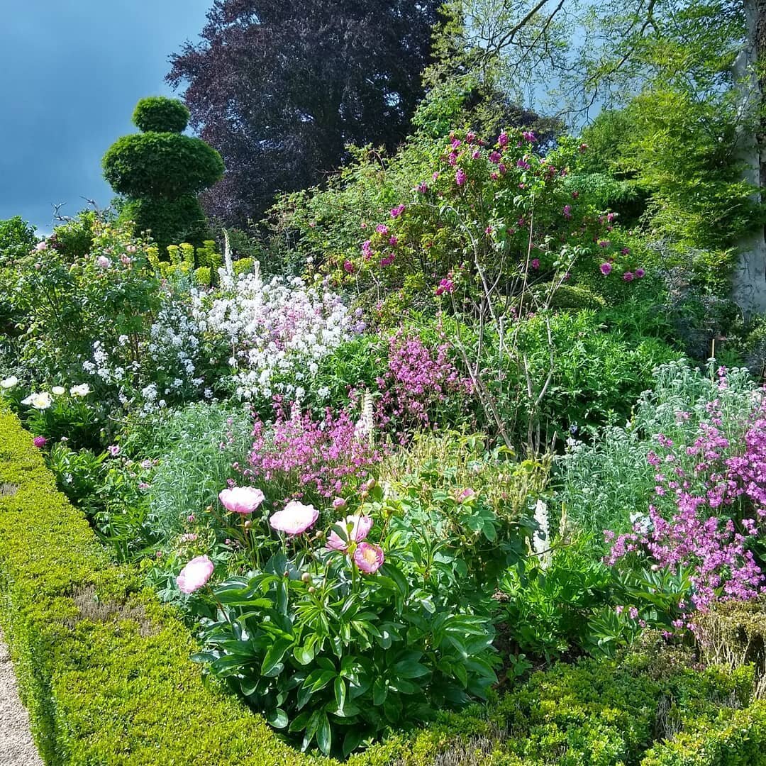 Froth and storm clouds @hanhamcourt yesterday. Time to promptly deadhead forget-me-not, cow parsley and comfreys.
