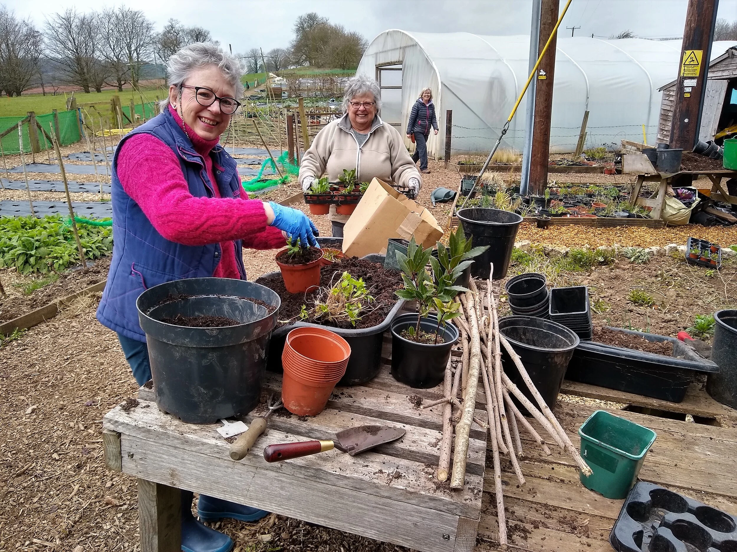 Plant Shop — Neil Ross Gardens