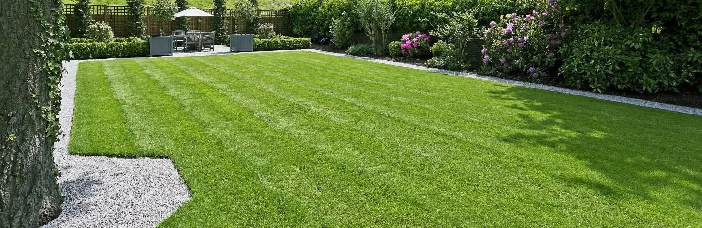 Lawn Care Services - All Incredible Property Services