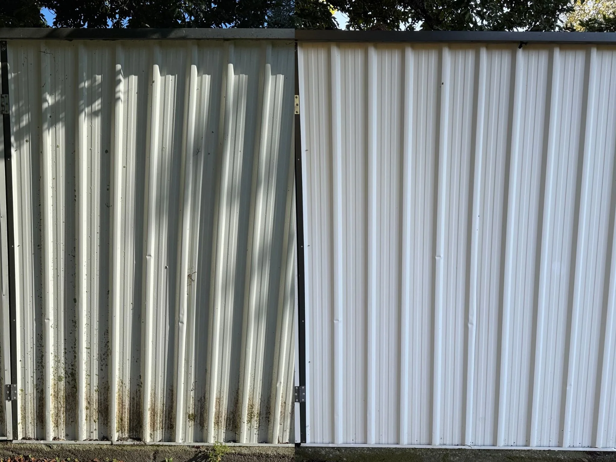 All Incredible - Garden Shed Clean Nelson.jpg