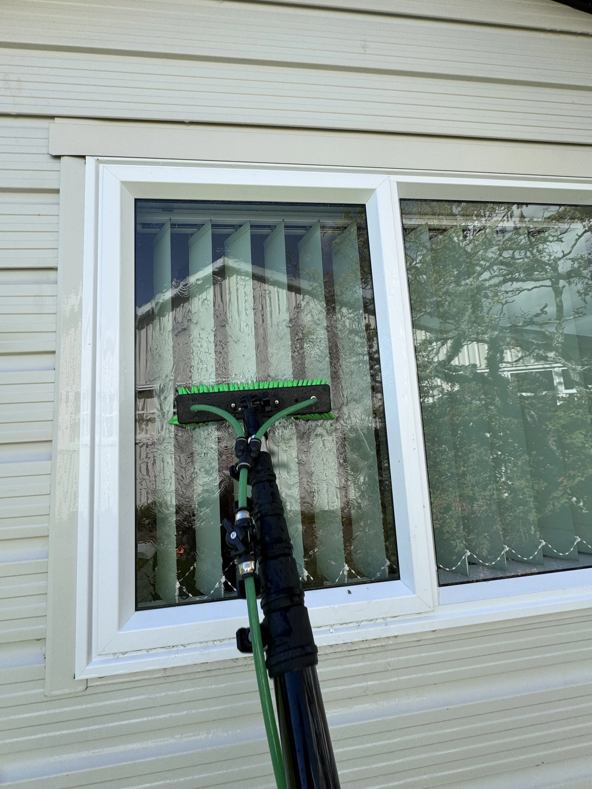 Window Cleaning