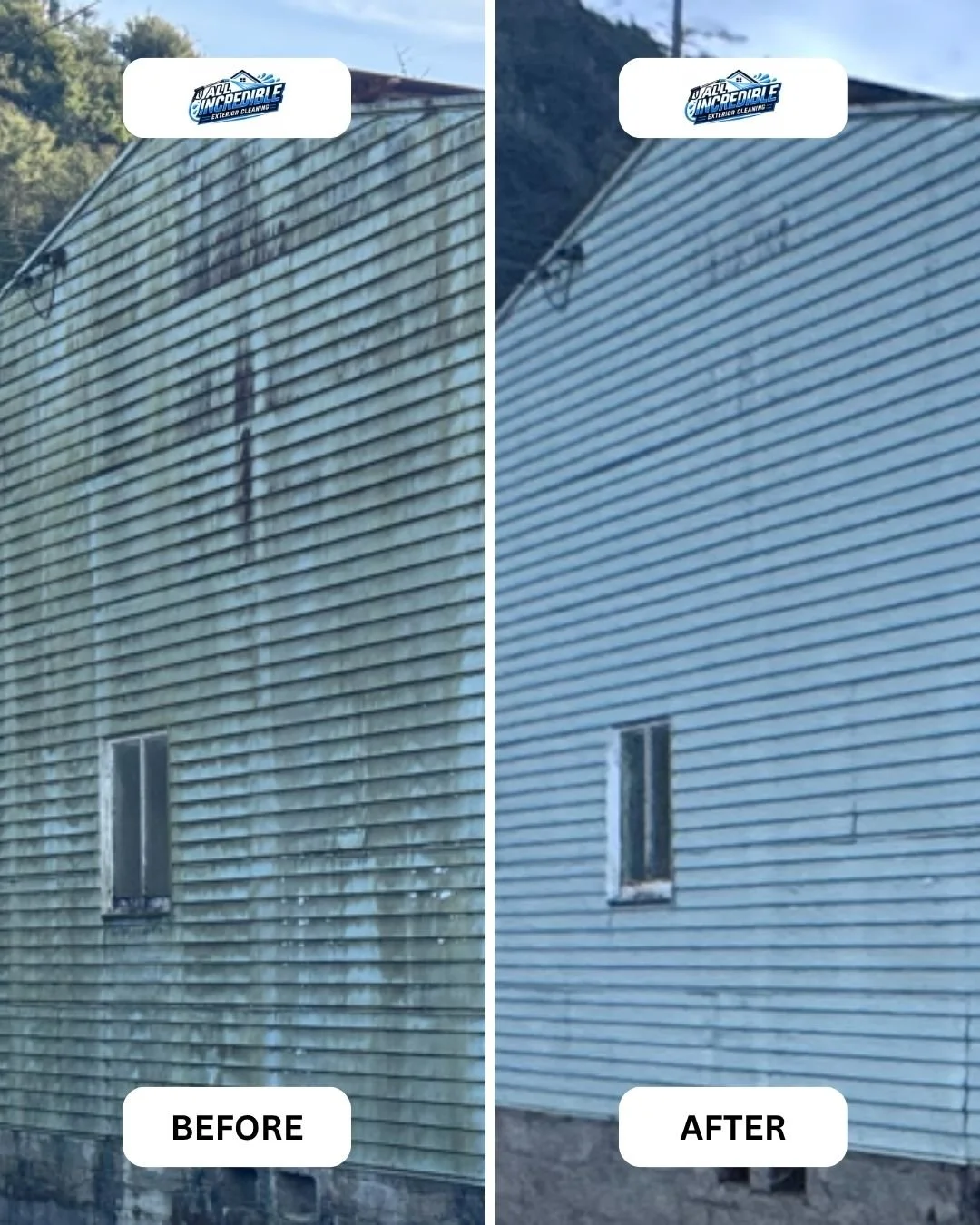Green mould and black staining completely removed from weatherboard house cladding using safe soft wash techniques in Nelson, NZ. No damage, just results.