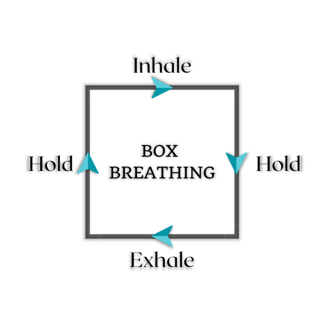 Box Respiration Box Breathing — Meridian Breath