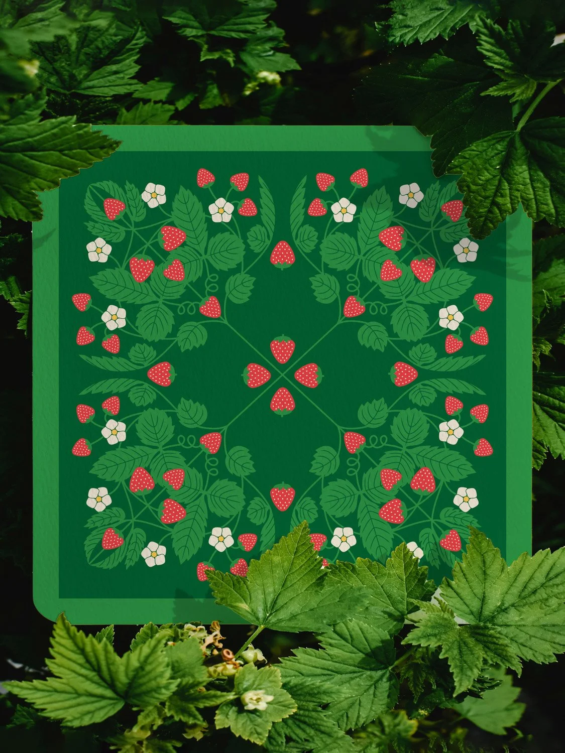   Surprise Me, Illustration 