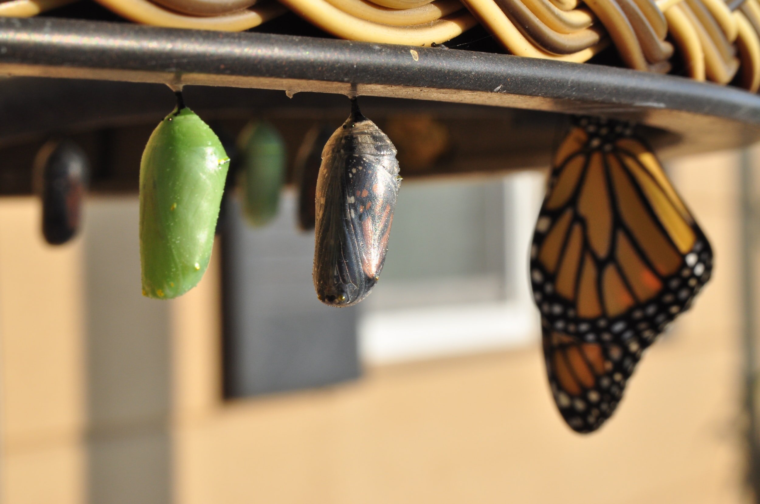 Living Closer to God Brings Transformation