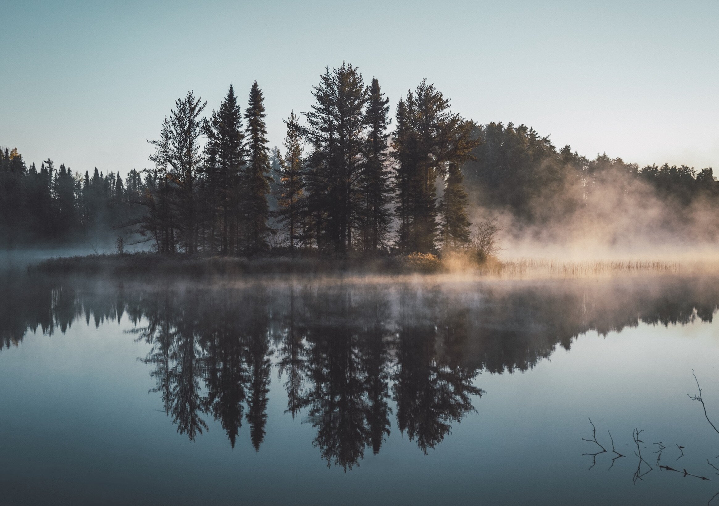 My Reflection on these devotions so far. Help me decide what’s next…