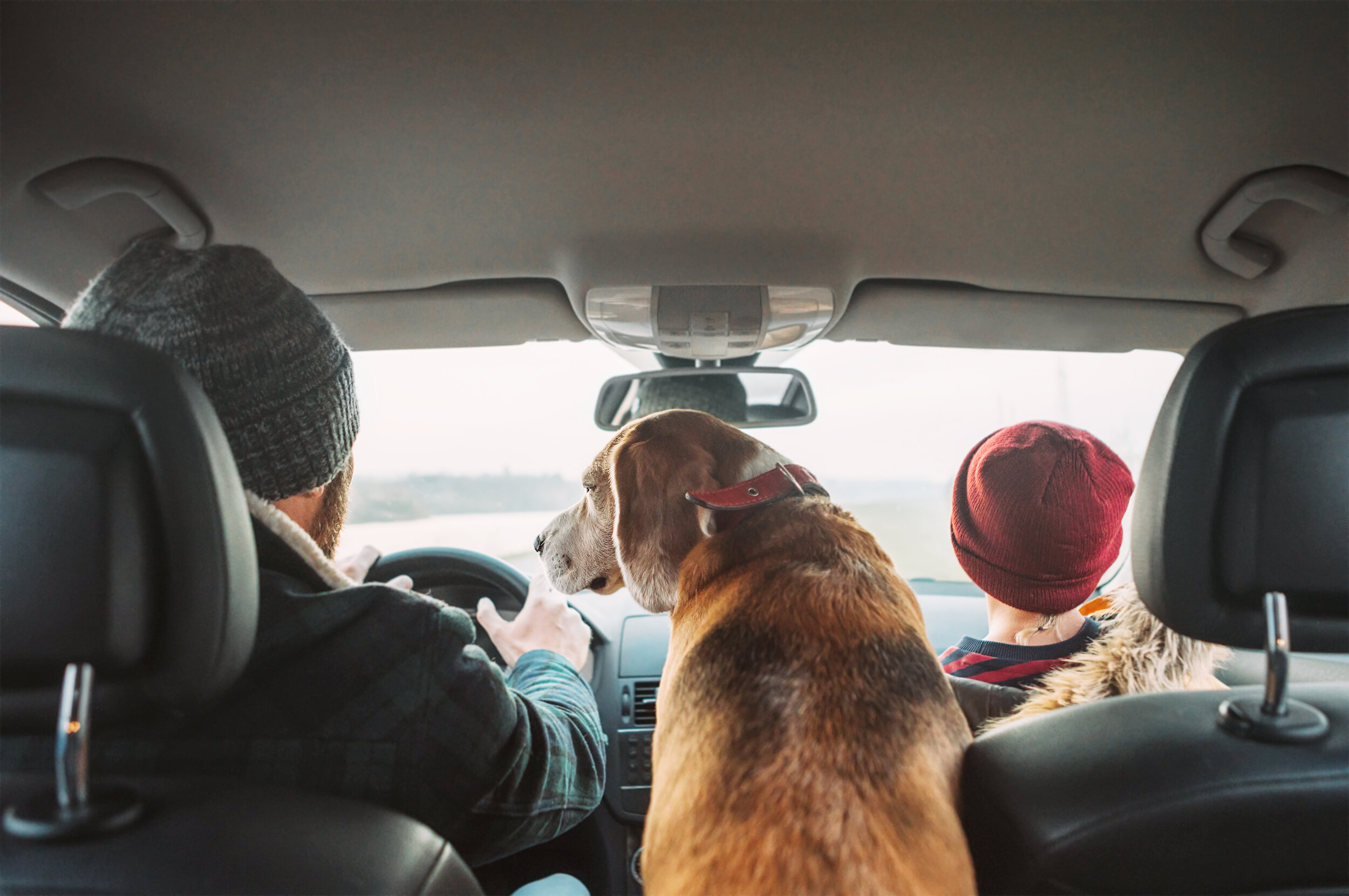 10 Tips for Protecting your Family