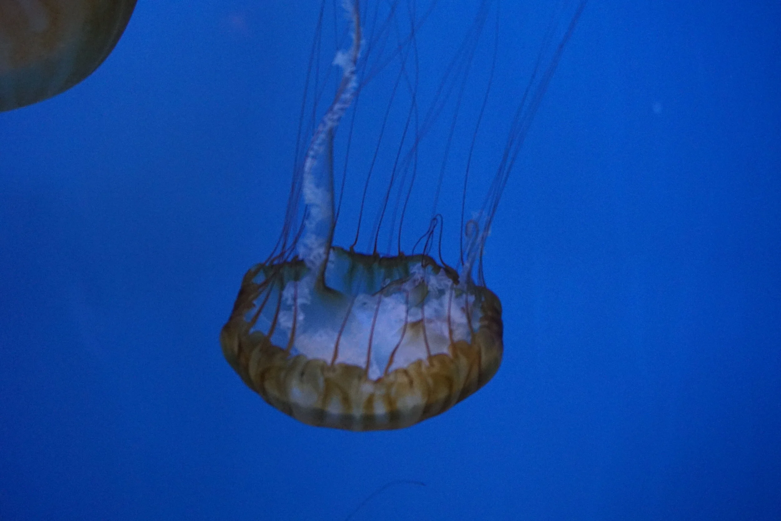 DSC01549.JPG