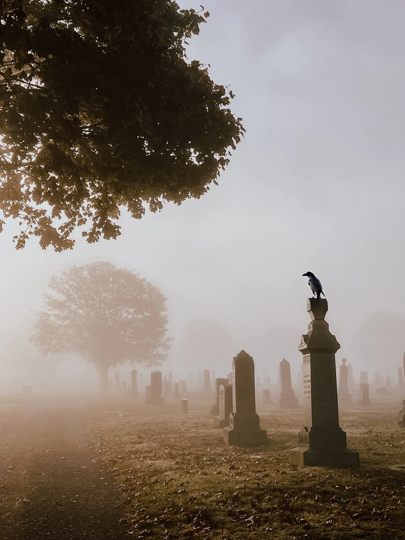 Foggy cemetary 4.jpg