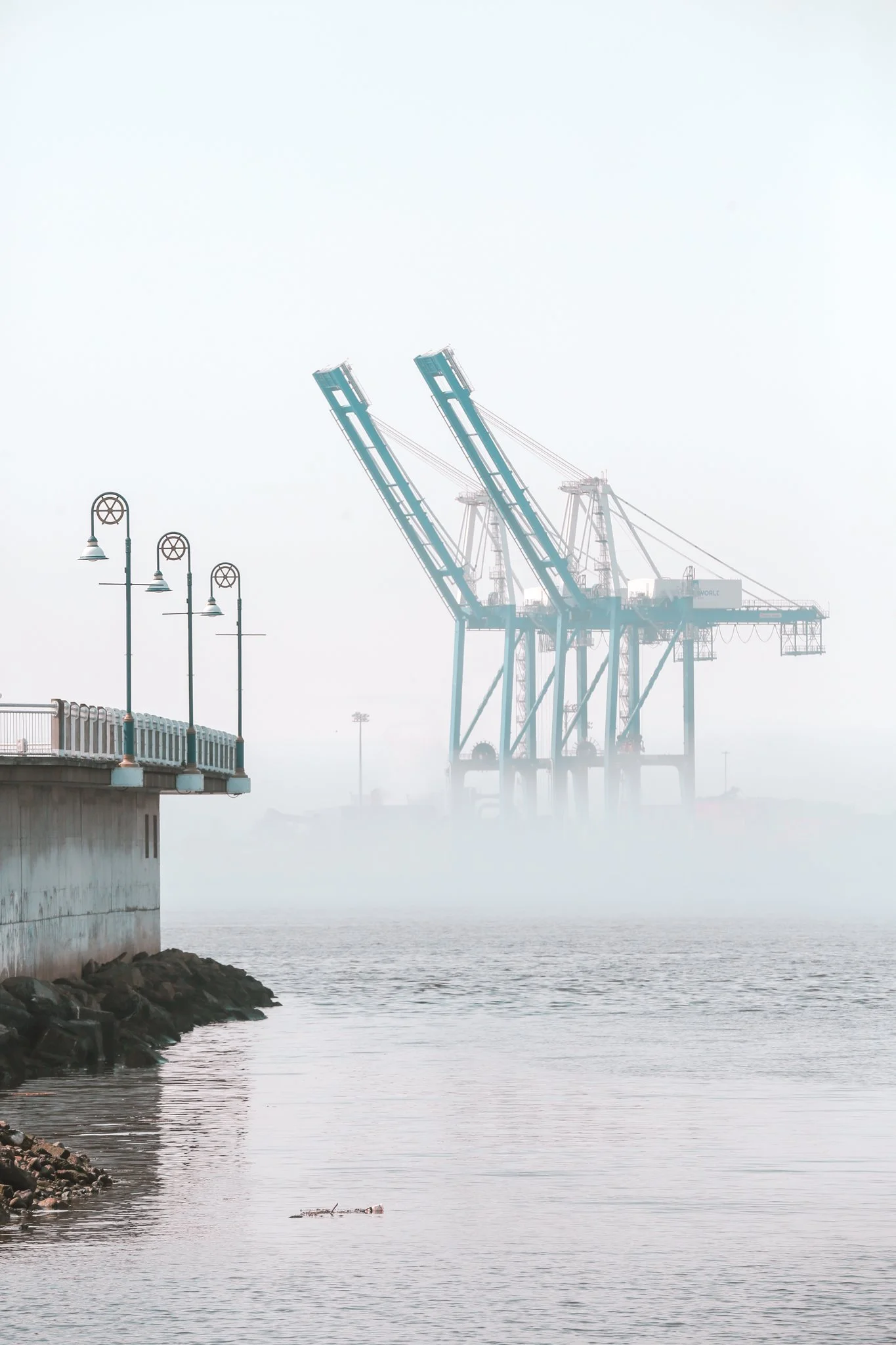 Foggy Harbour 1 (1).jpg