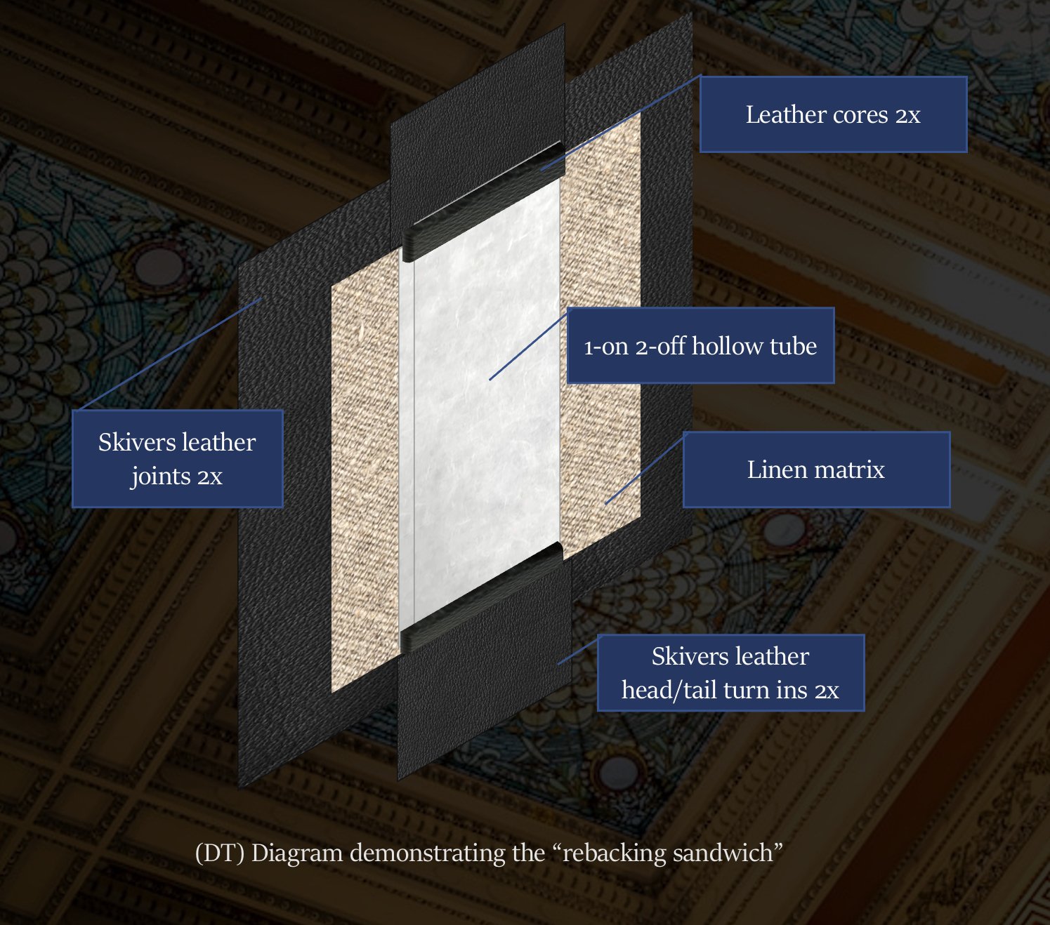 (DT) Diagram demonstrating the layering structure of the reback. Instead of applying all the layers one by one directly onto the spine of the book, we created a spine lining sandwich off the book which includes:
(1) A linen matrix layer to impart str