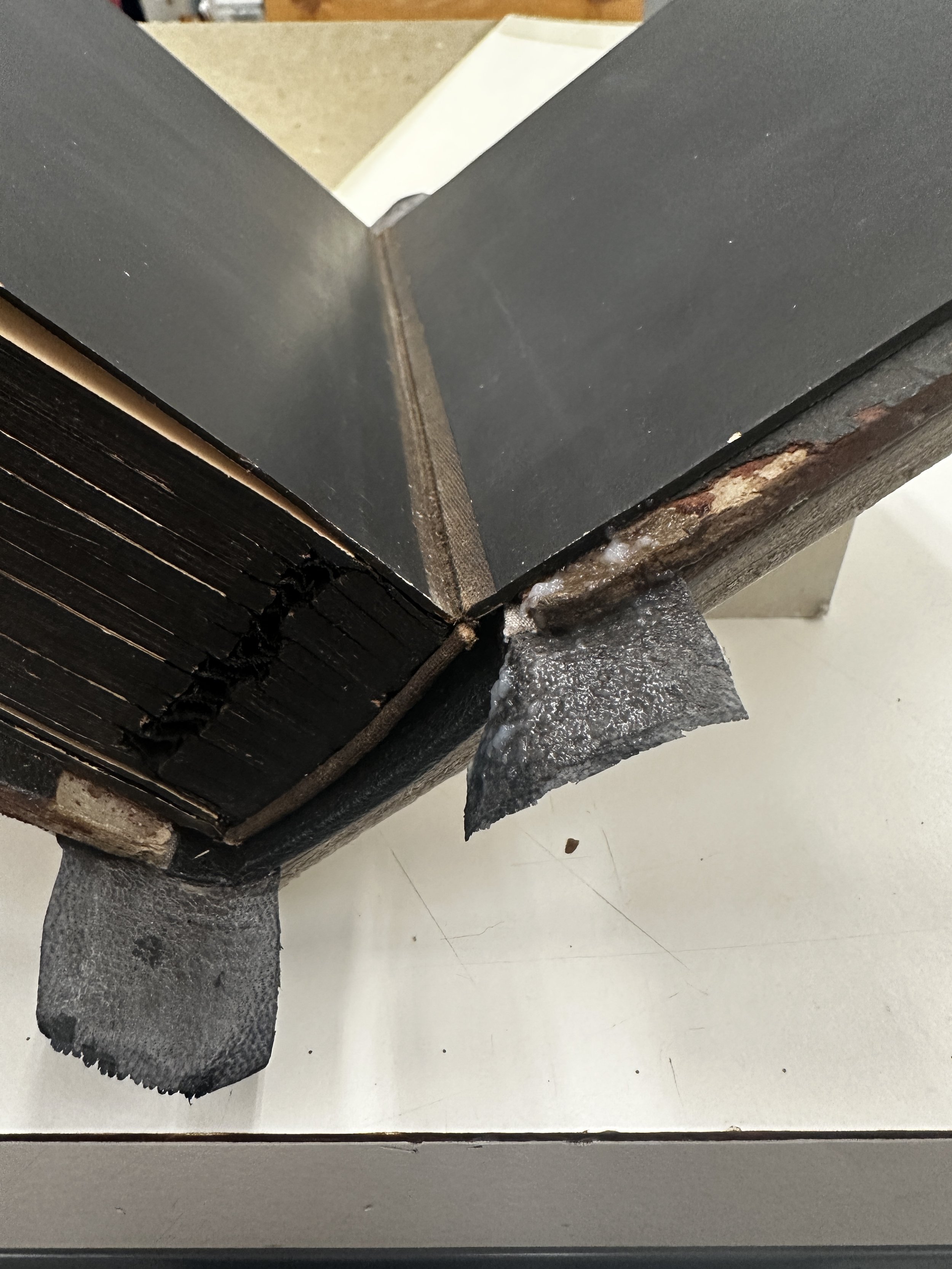 (DT) Turning in leather sides